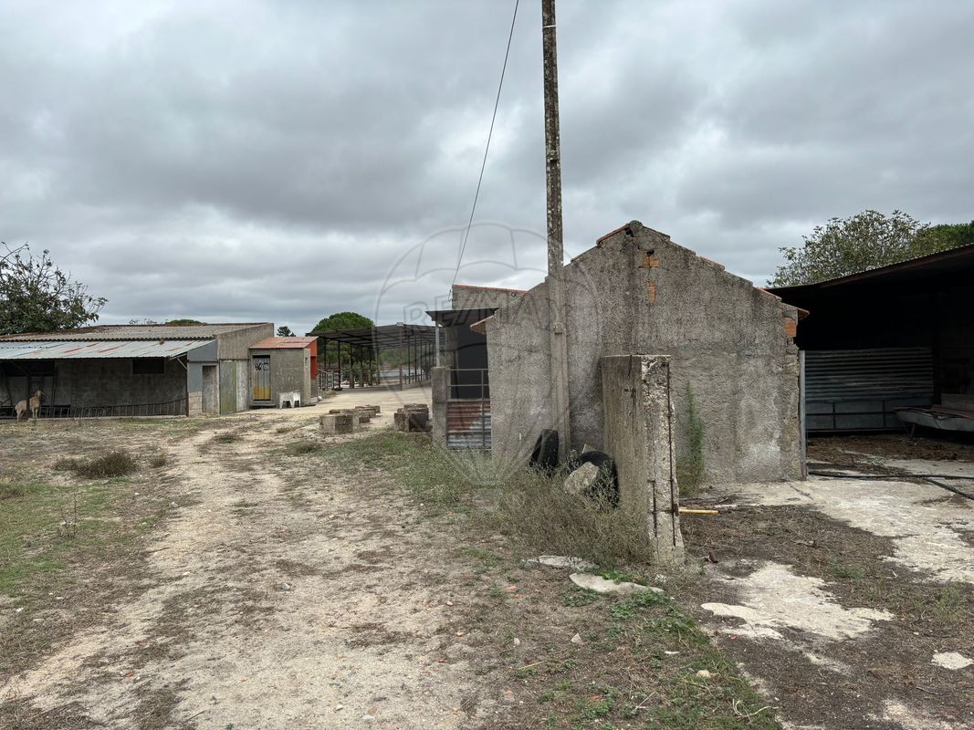 listing-picture-0