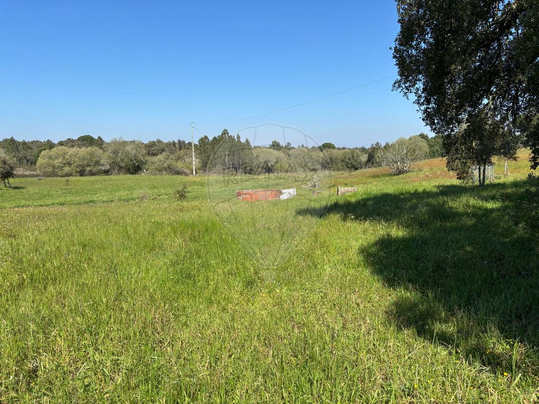 Terreno para venda