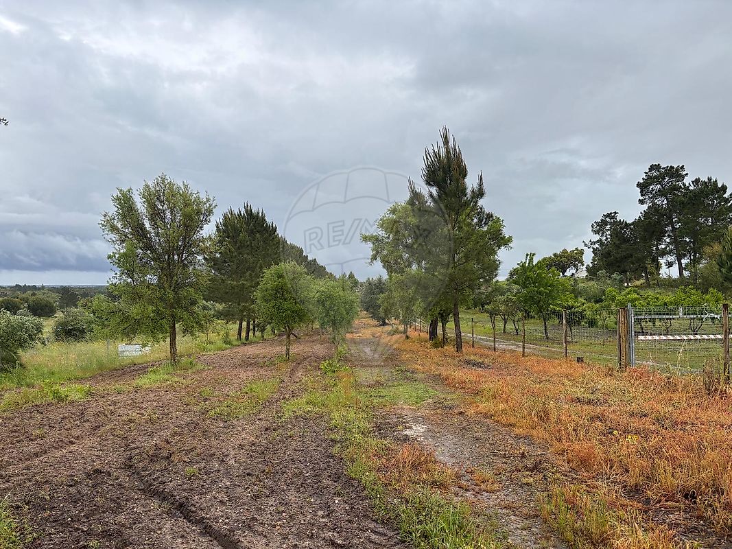 Terreno para venda