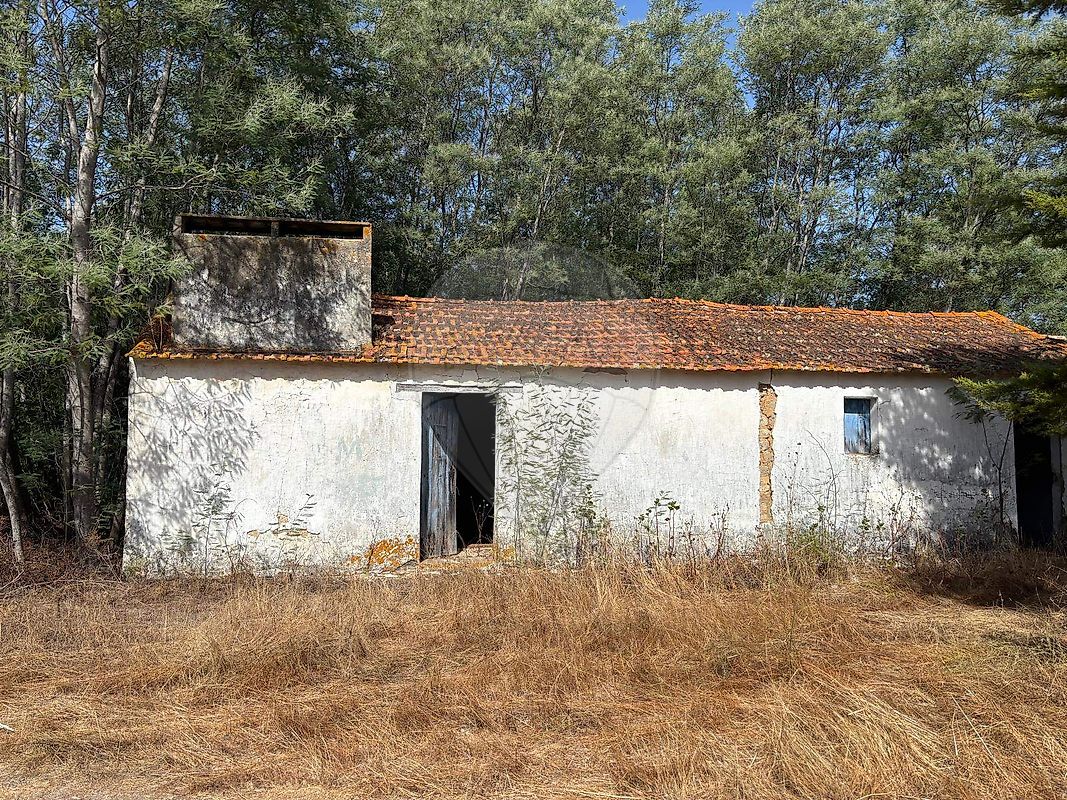 Quinta T2 à venda em Coruche