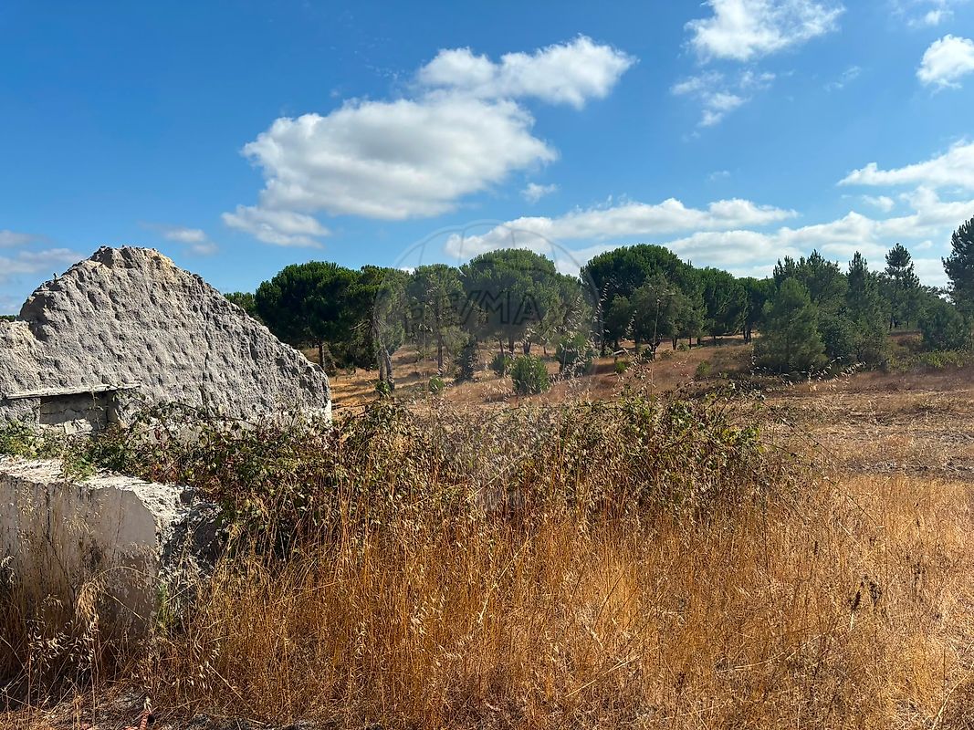 Terreno - São José da Lamarosa, Coruche, Santarém