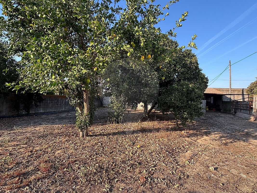 Moradia T3 à venda em Coruche, Fajarda e Erra, Coruche — foto 18