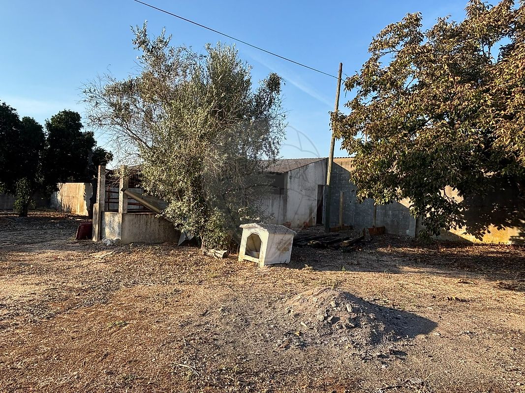 Moradia T3 à venda em Coruche, Fajarda e Erra, Coruche — foto 33
