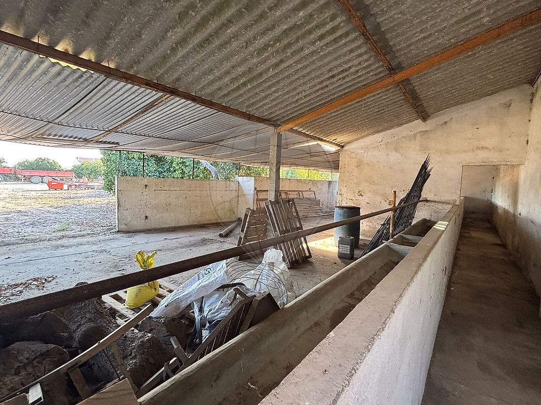 Moradia T3 à venda em Coruche, Fajarda e Erra, Coruche — foto 23