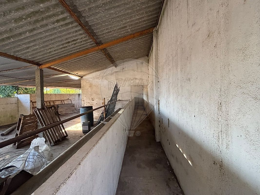 Moradia T3 à venda em Coruche, Fajarda e Erra, Coruche — foto 22