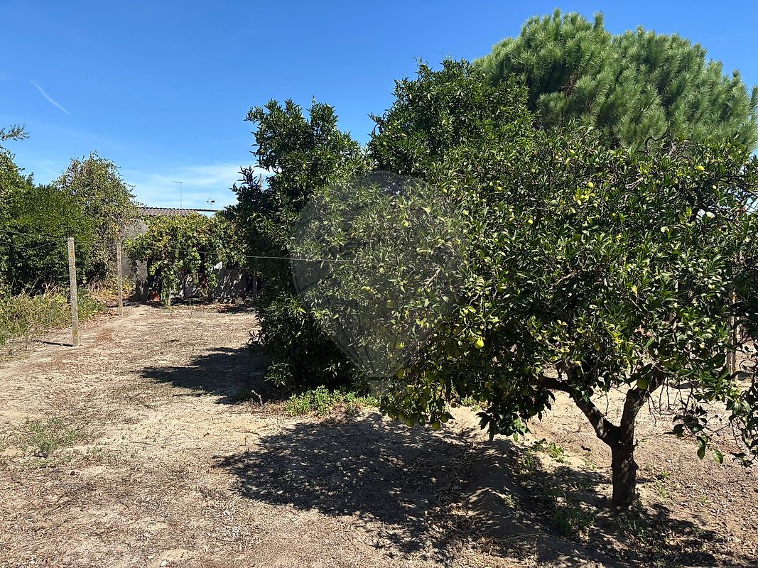 Moradia T3 à venda em Coruche, Fajarda e Erra, Coruche — foto 36