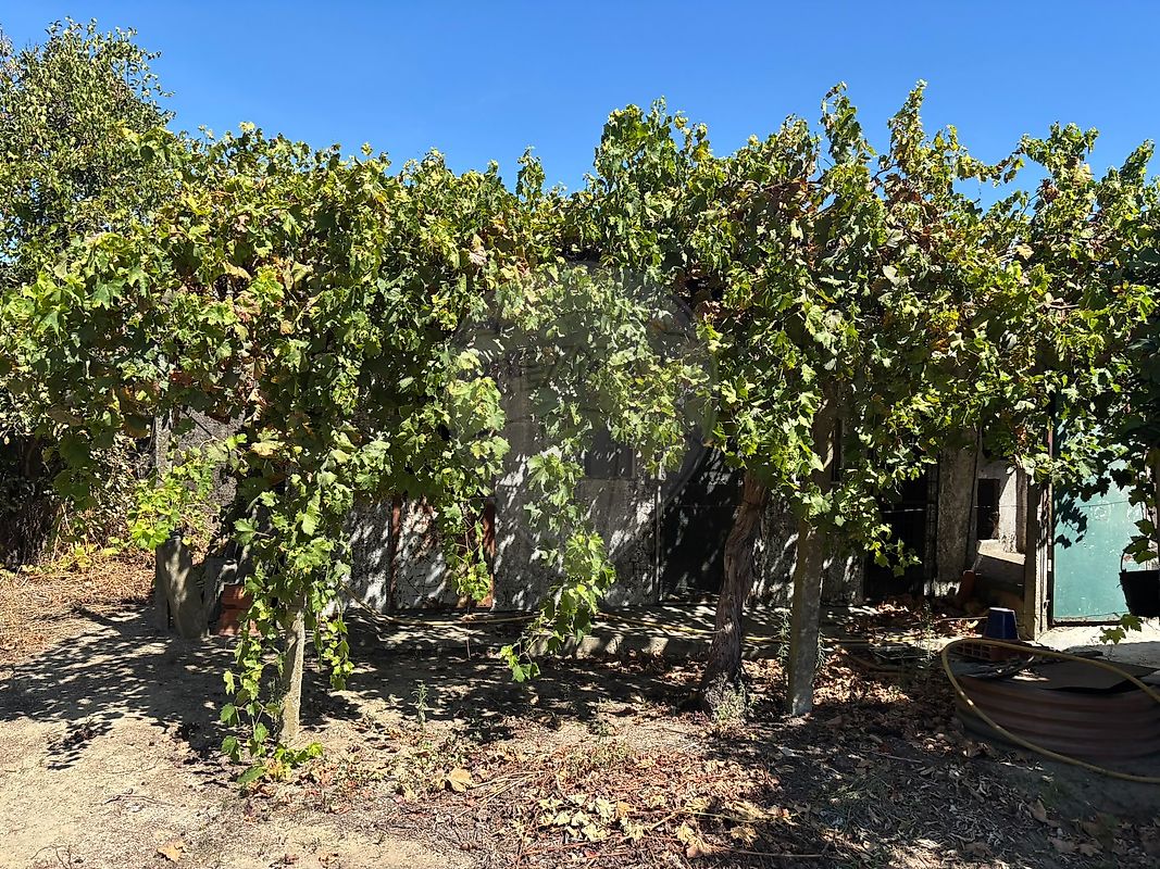 Moradia T3 à venda em Coruche, Fajarda e Erra, Coruche — foto 37