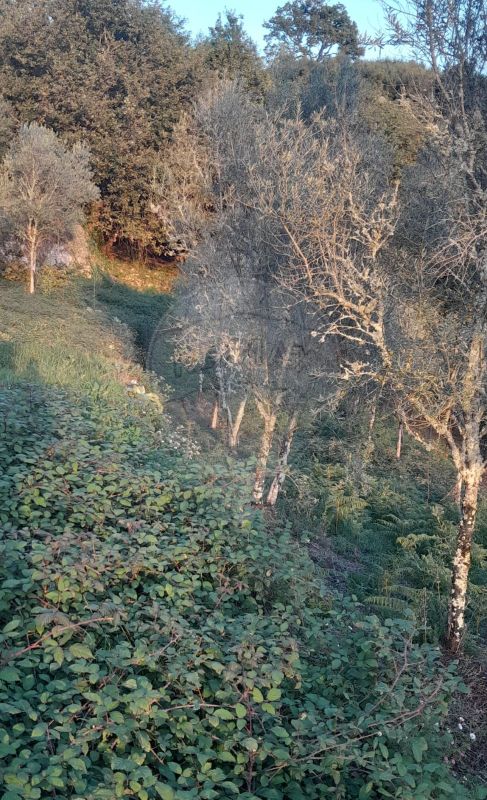 Terreno  para venda