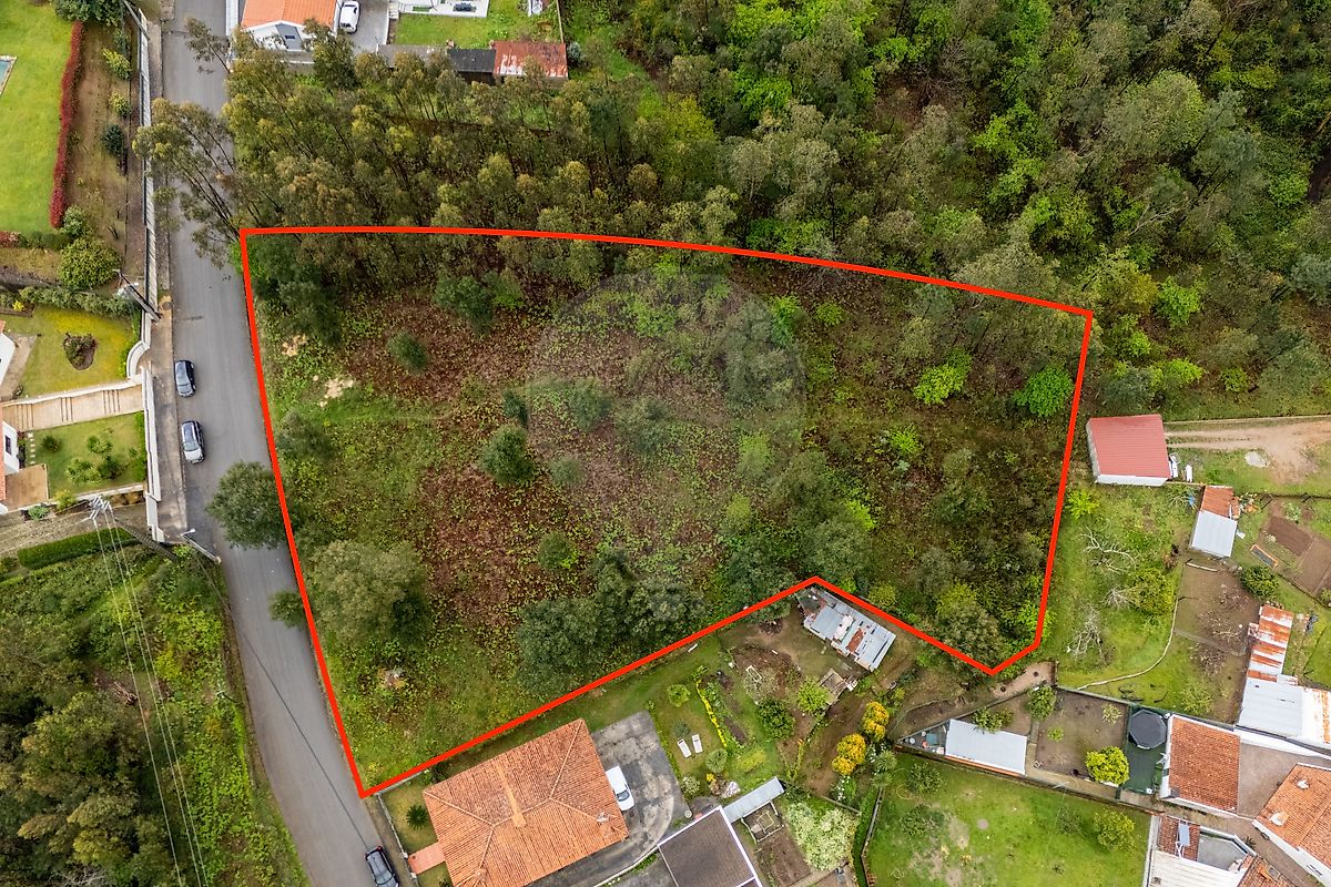 Land for sale in Oliveira de Azeméis, Portugal — €120,000