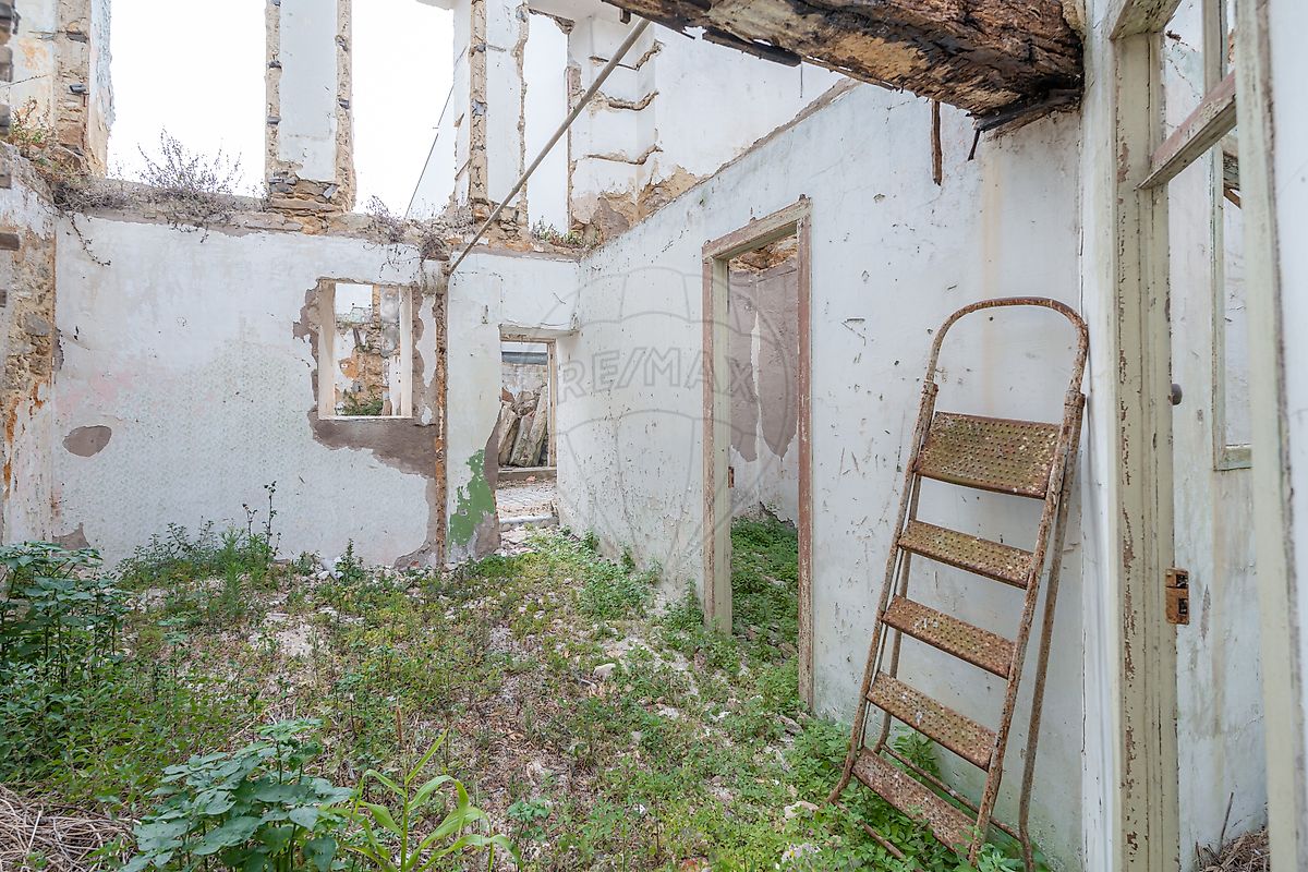 listing 124881315-5 picture-0