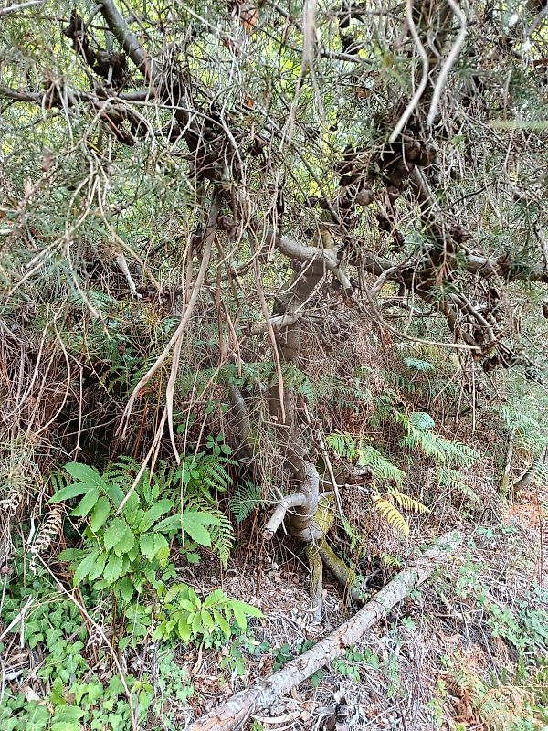 Terreno para venda
