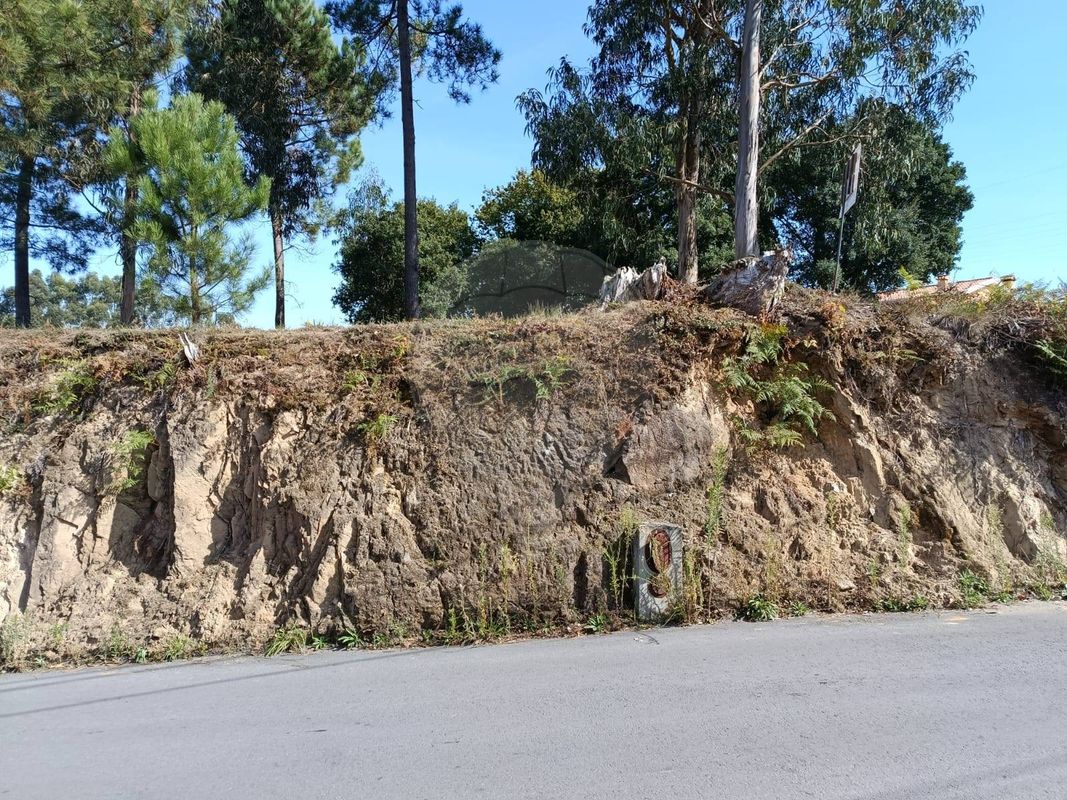 Terreno  para venda
