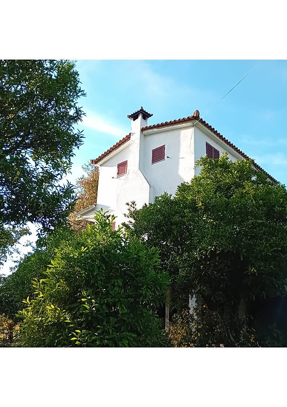 Moradia T7 para venda