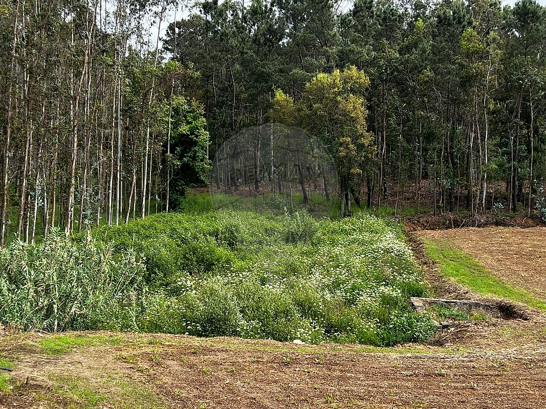 Terreno - Arrifana, Santa Maria da Feira, Aveiro