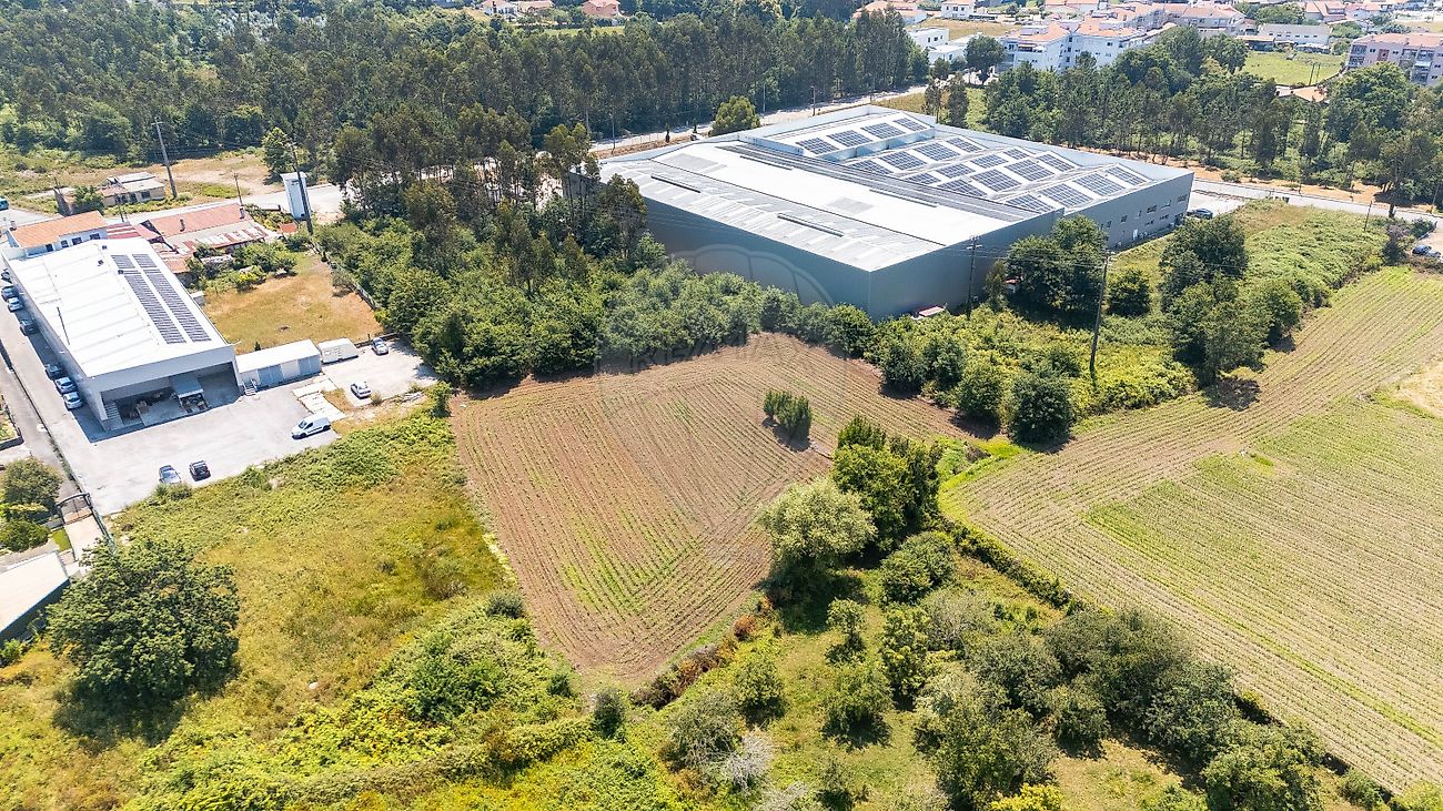 Terreno - São Roque, Oliveira de Azeméis, Aveiro