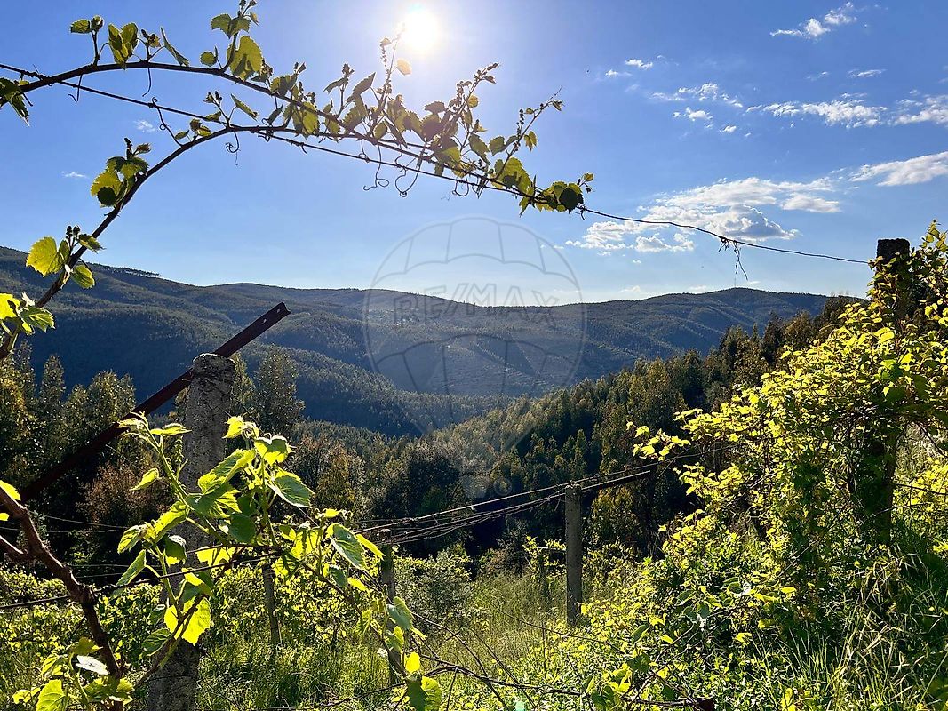 Moradia T2 à venda em Raiva, Pedorido e Paraíso, Castelo de Paiva — foto 7