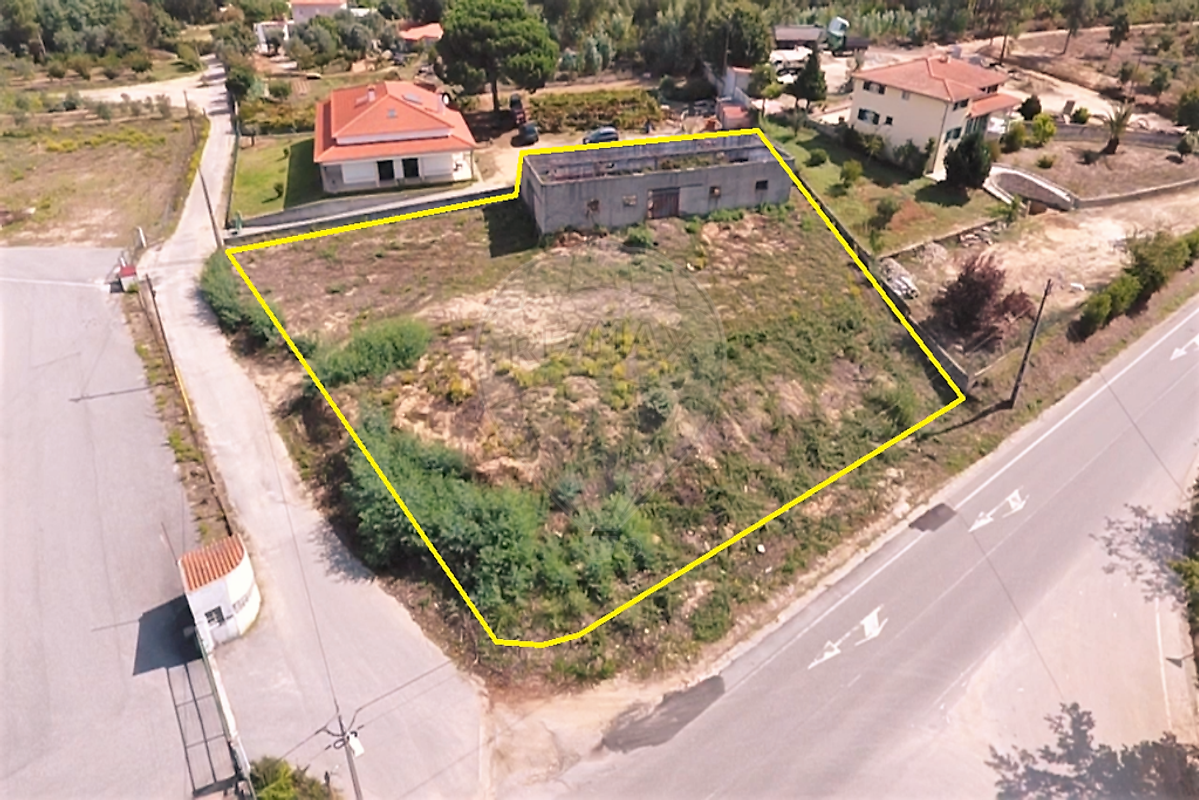 listing 124891007-266 picture-0