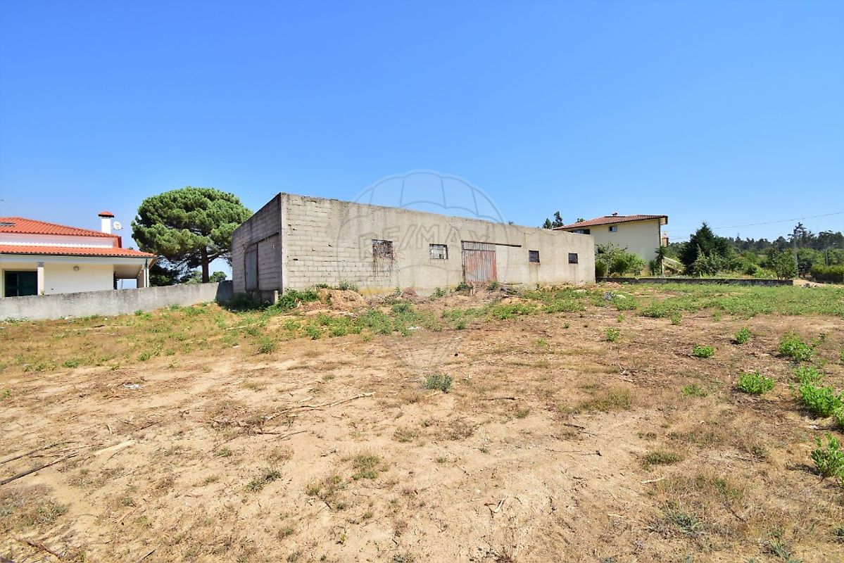 listing 124891007-266 picture-0