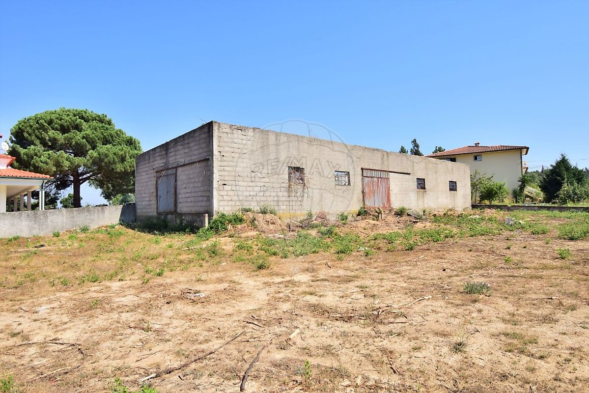 listing 124891007-266 picture-0