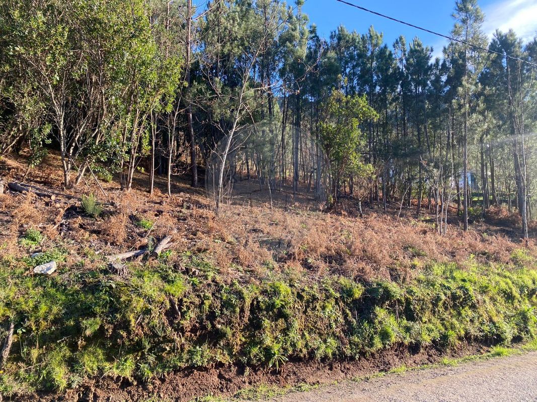 Terreno para venda