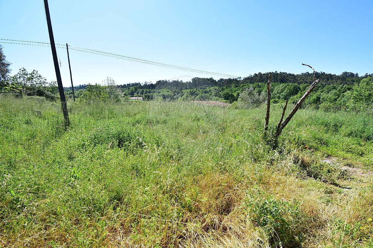 Apartamento à venda em Tábua