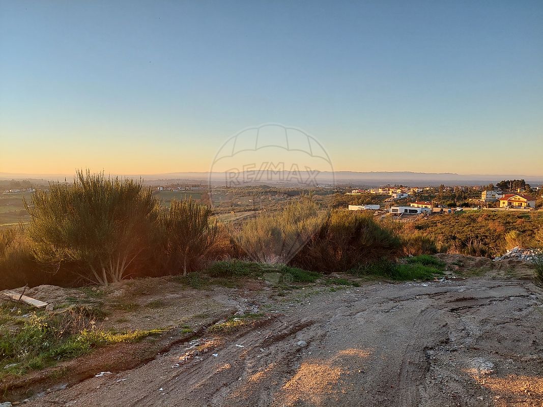 listing 124891035-62 picture-0