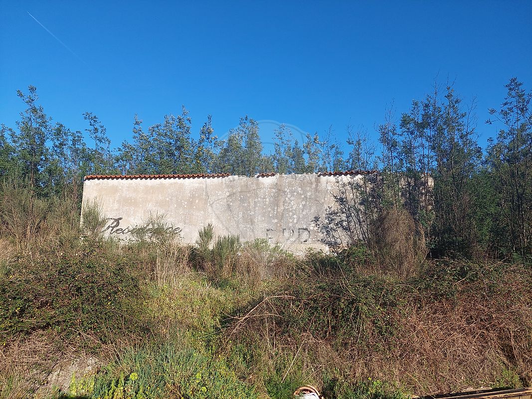 Terreno à venda em Oliveira do Hospital