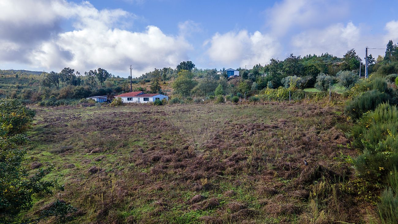 listing-picture-0