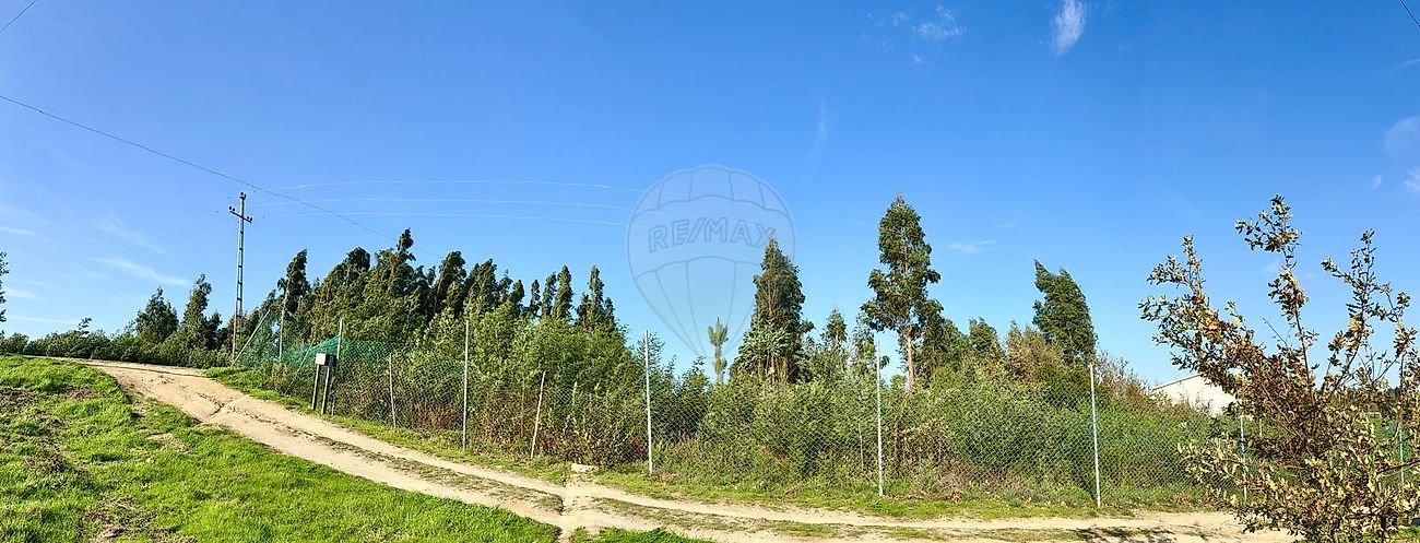 Terreno  à venda em Oliveira do Hospital