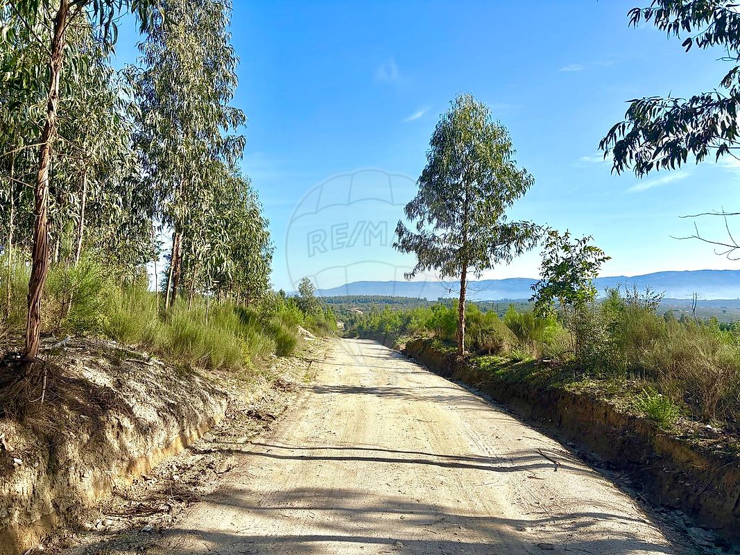 Terreno para venda