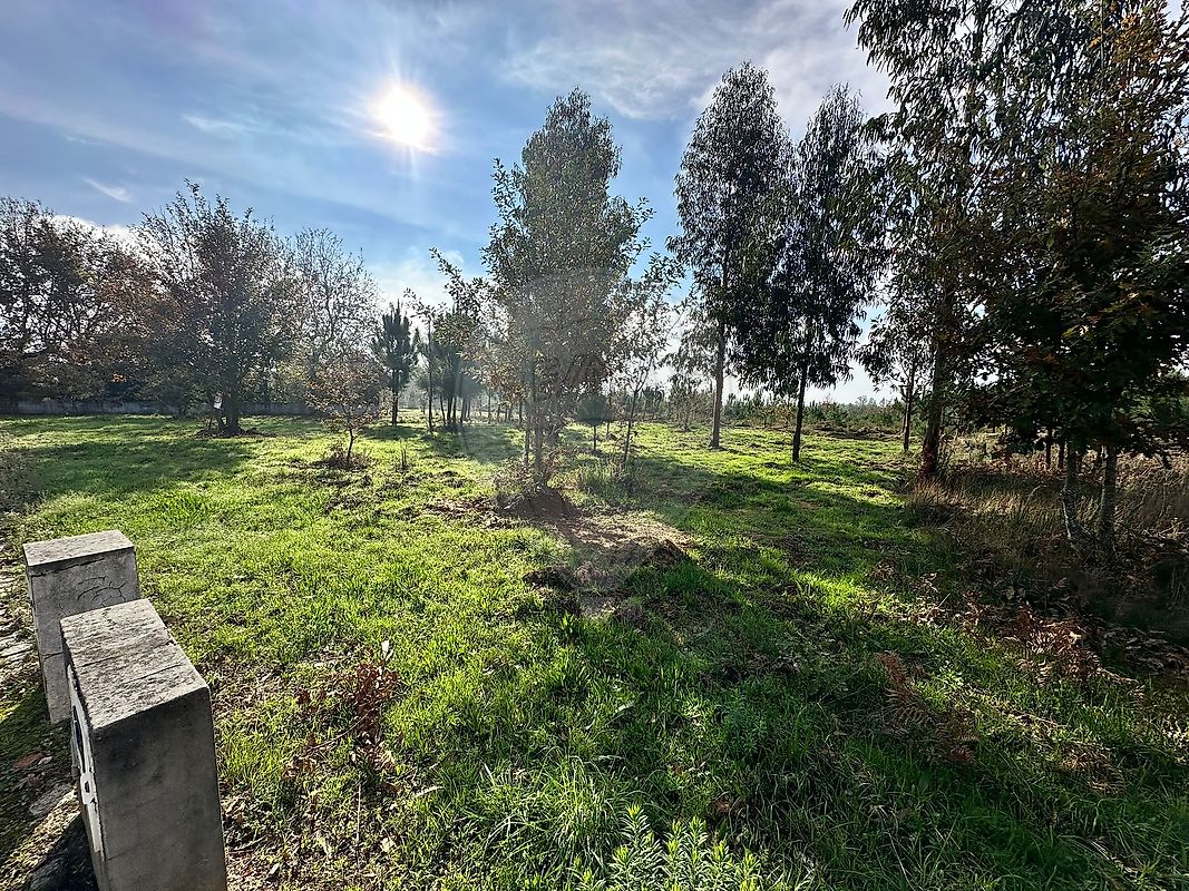 Terreno  para venda