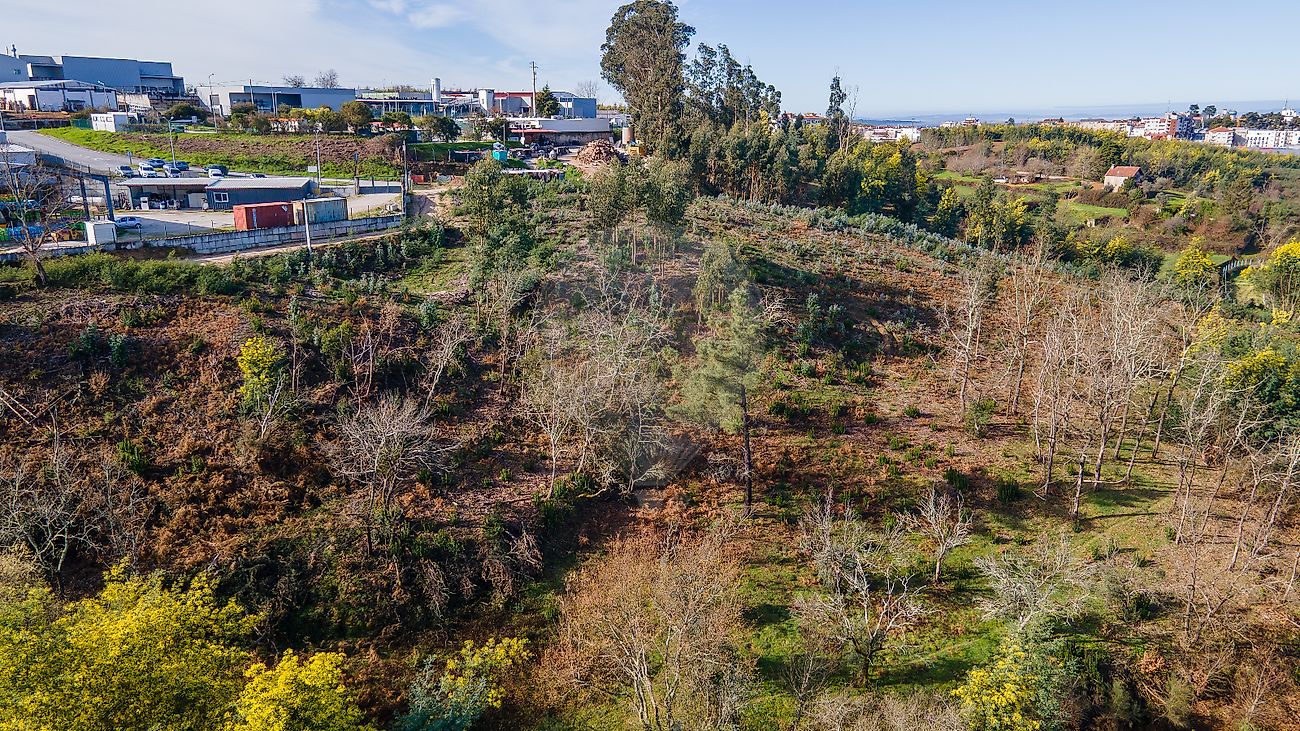Terreno  à venda em Oliveira do Hospital