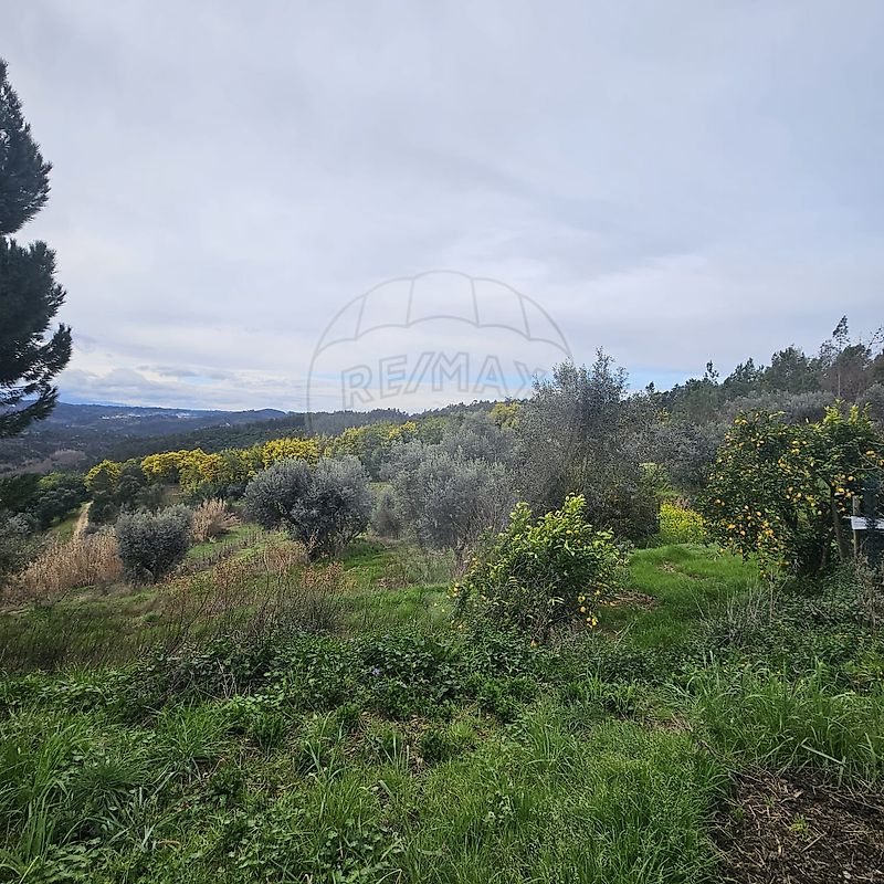 Quinta para venda