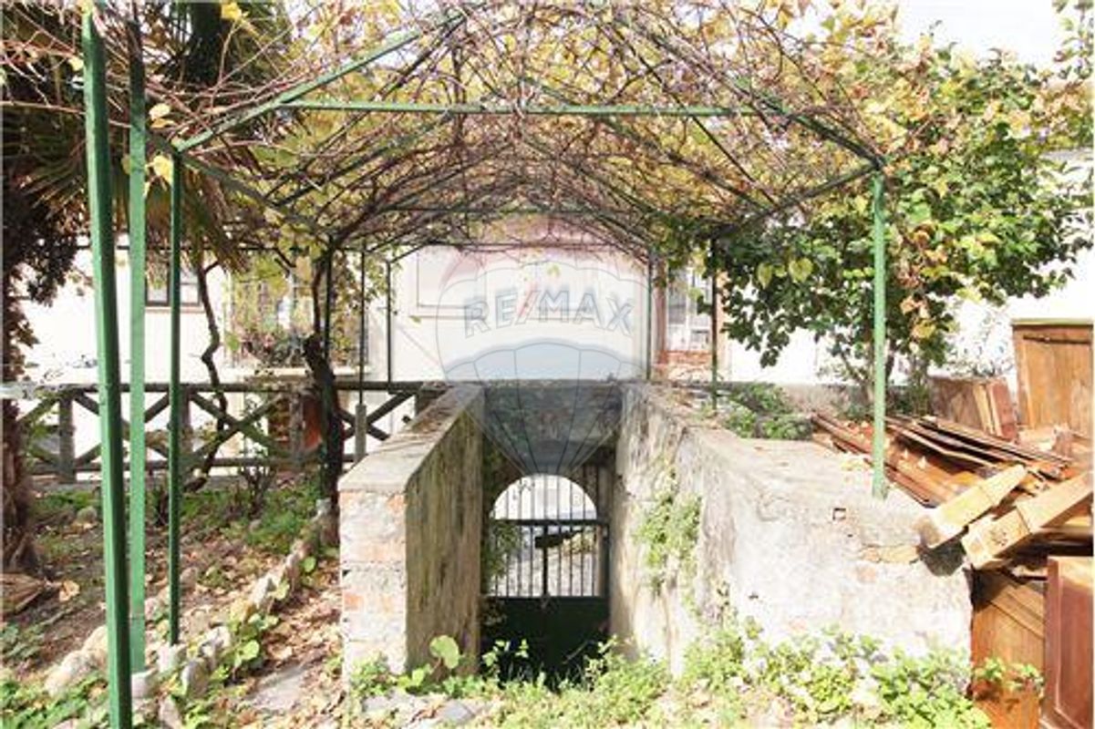 listing 124891005-314 picture-0