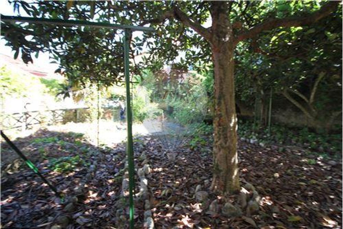 listing 124891005-314 picture-0