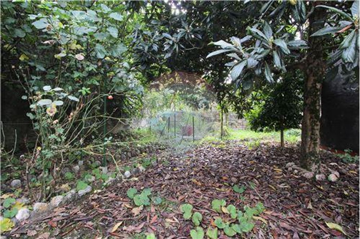 listing 124891005-314 picture-0
