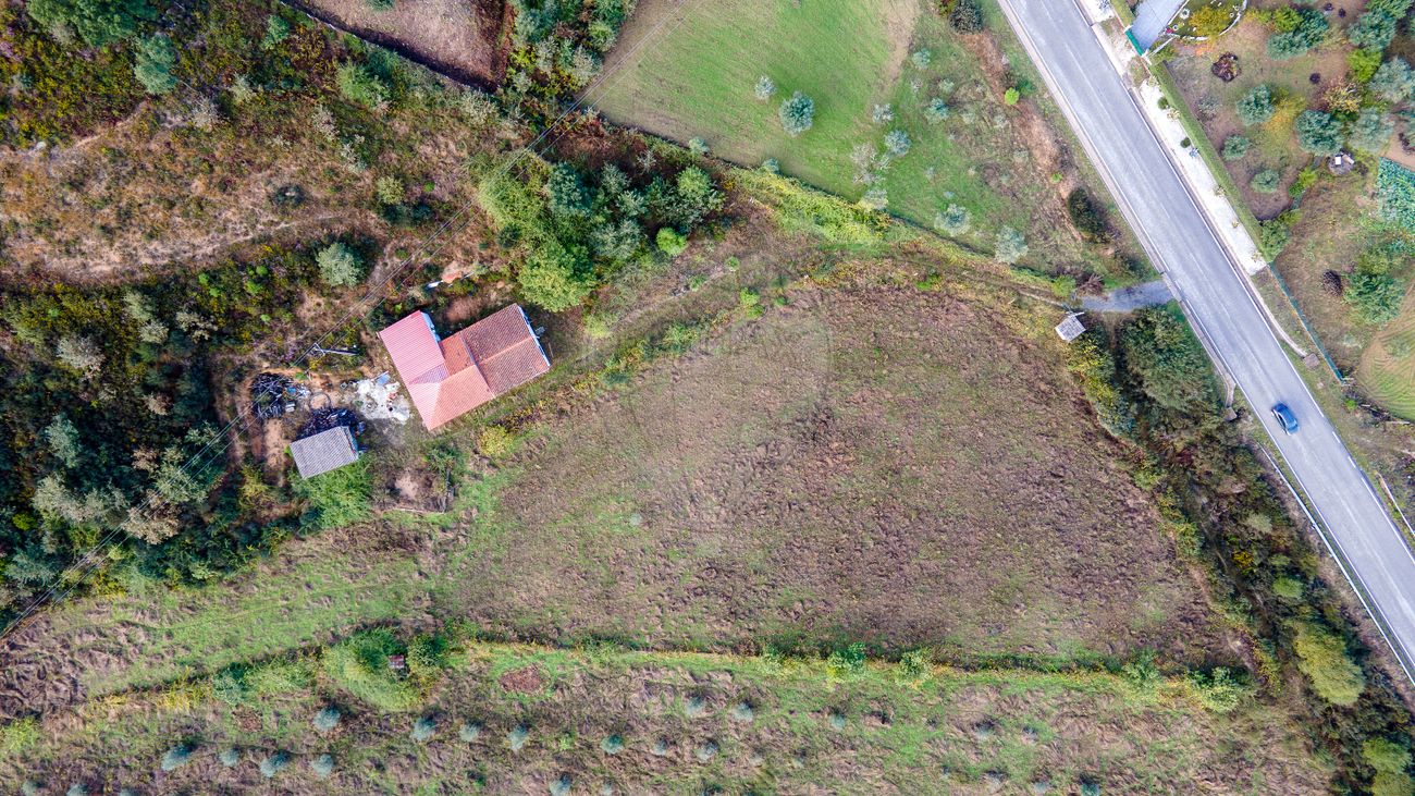 listing 124891005-315 picture-0