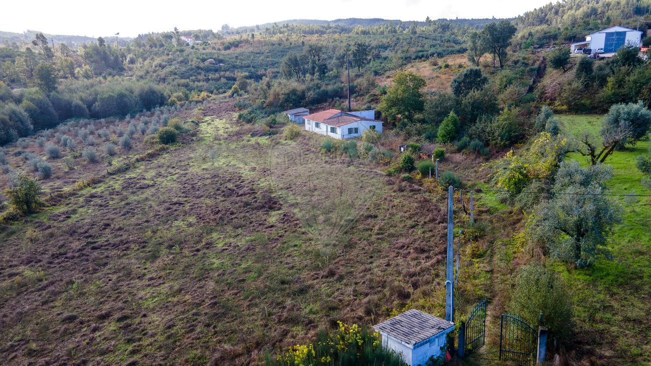 listing 124891005-315 picture-0