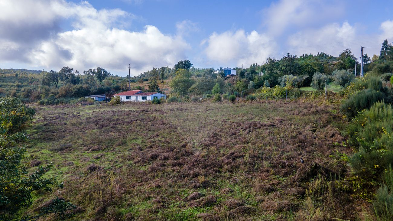 listing 124891005-315 picture-0