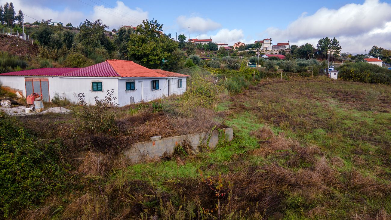 listing 124891005-315 picture-0