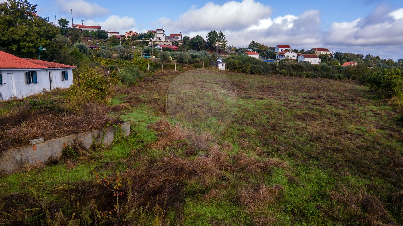 listing 124891005-315 picture-0