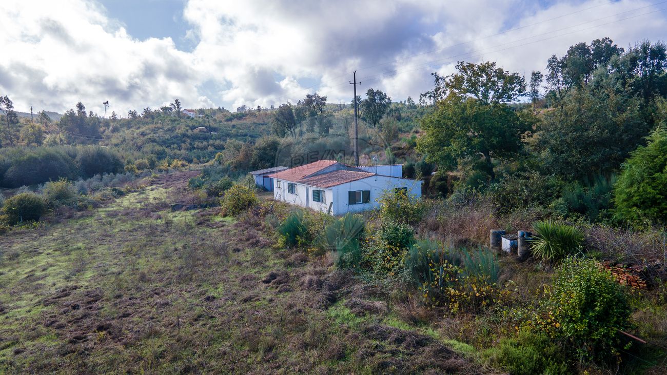 listing 124891005-315 picture-0