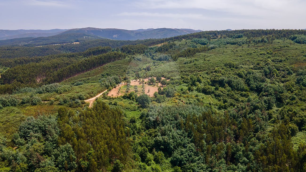Quinta - Vila Cova de Alva e Anceriz, Arganil, Coimbra