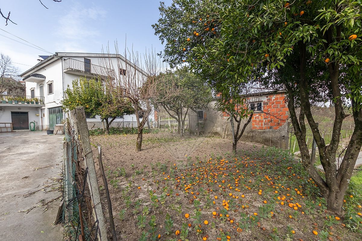Moradia T4 à venda em Santa Ovaia e Vila Pouca da Beira, Oliveira do Hospital — foto 25