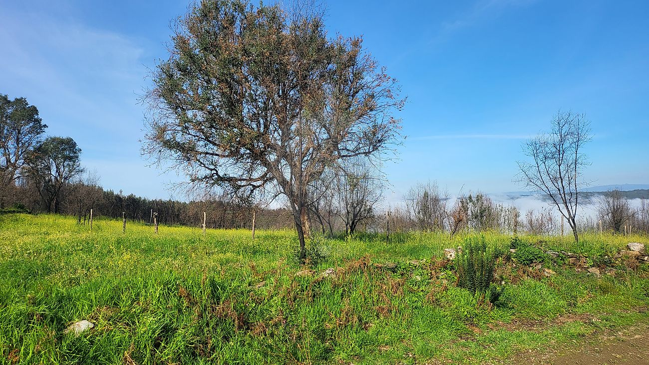 Moradia T2 à venda em Vila Cova de Alva e Anceriz, Arganil — foto 10