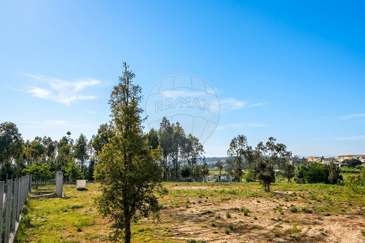 Terreno - Santa Ovaia e Vila Pouca da Beira, Oliveira do Hospital, Coimbra