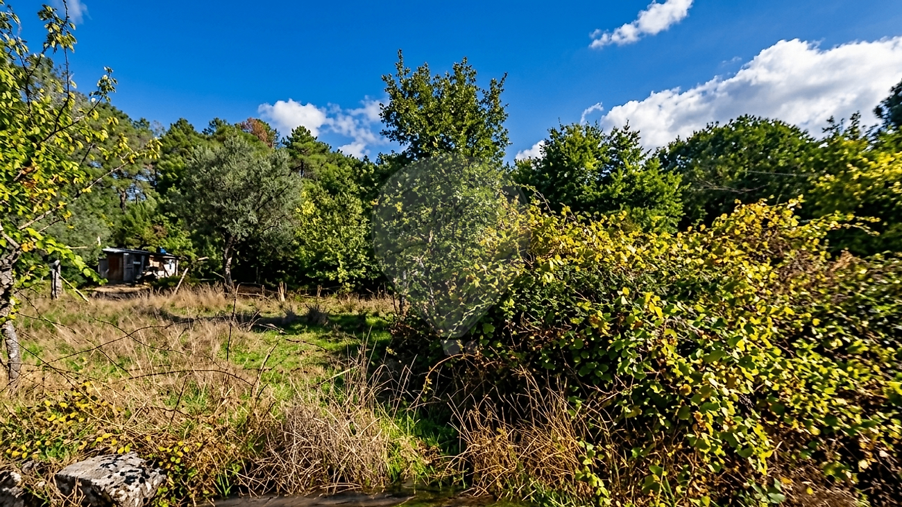 Terreno - Travanca de Lagos, Oliveira do Hospital, Coimbra