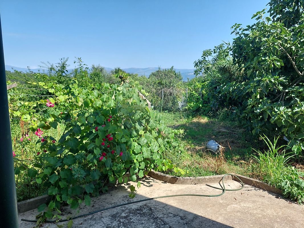 Moradia T5 à venda em Pinheiro de Coja e Meda de Mouros, Tábua — foto 20