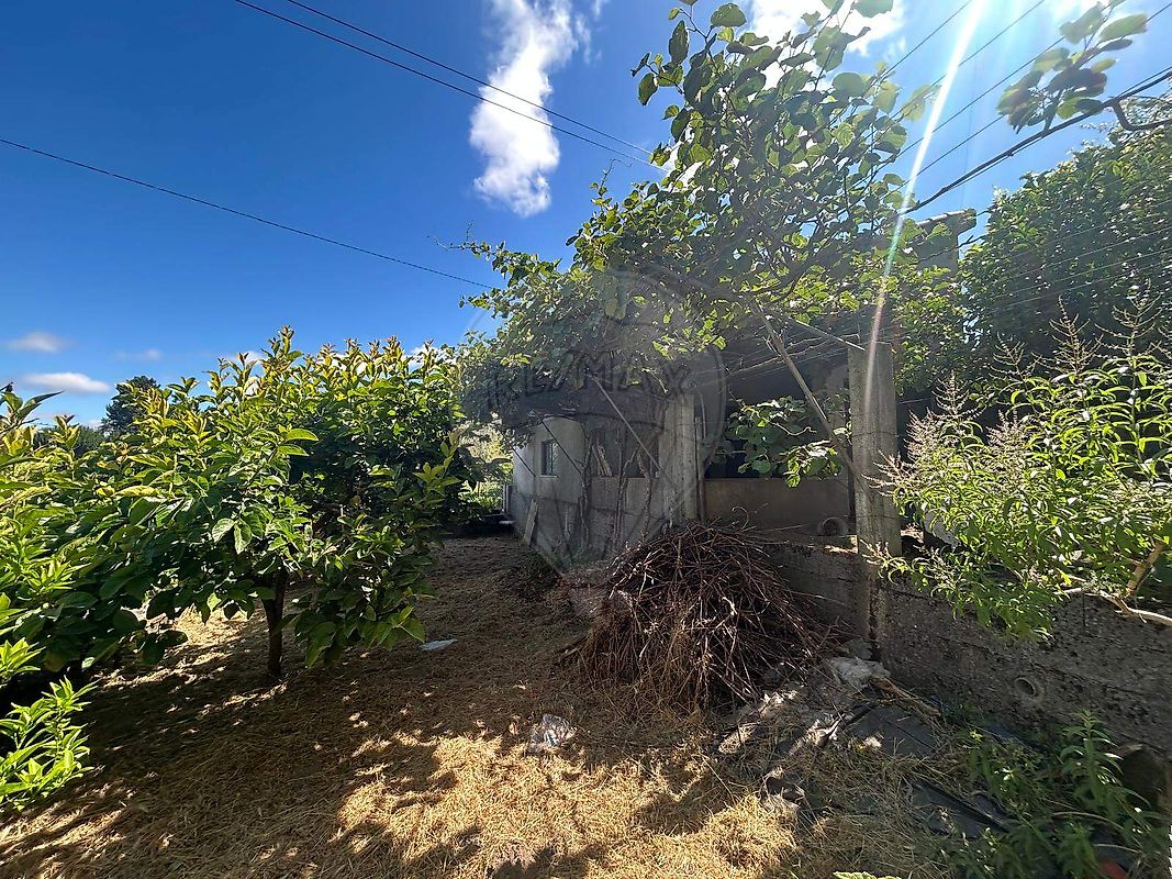 Moradia T3 à venda em Bobadela, Oliveira do Hospital — foto 24