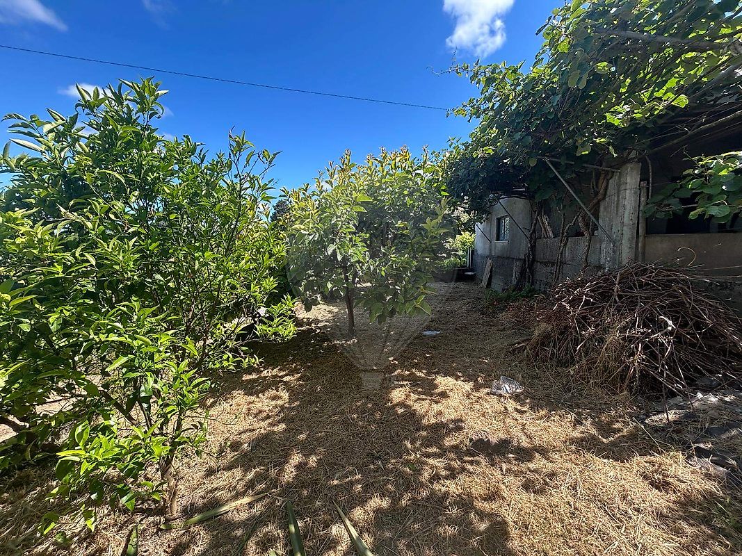 Moradia T3 à venda em Bobadela, Oliveira do Hospital — foto 23